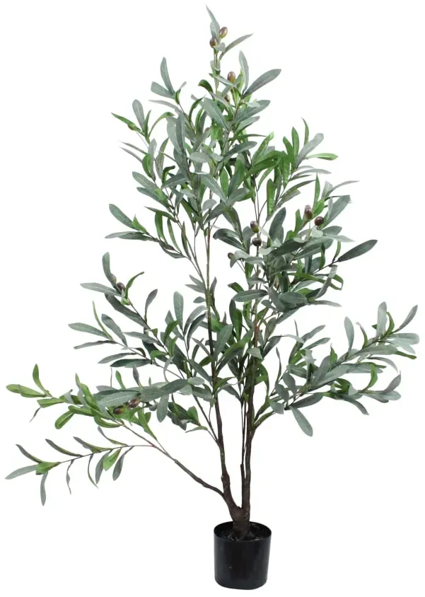 Oliven Baum 120cm grün