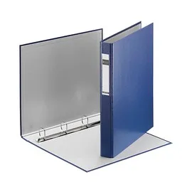 Leitz Ringbuch Standard DIN A4 25 mm Blau 1 St.