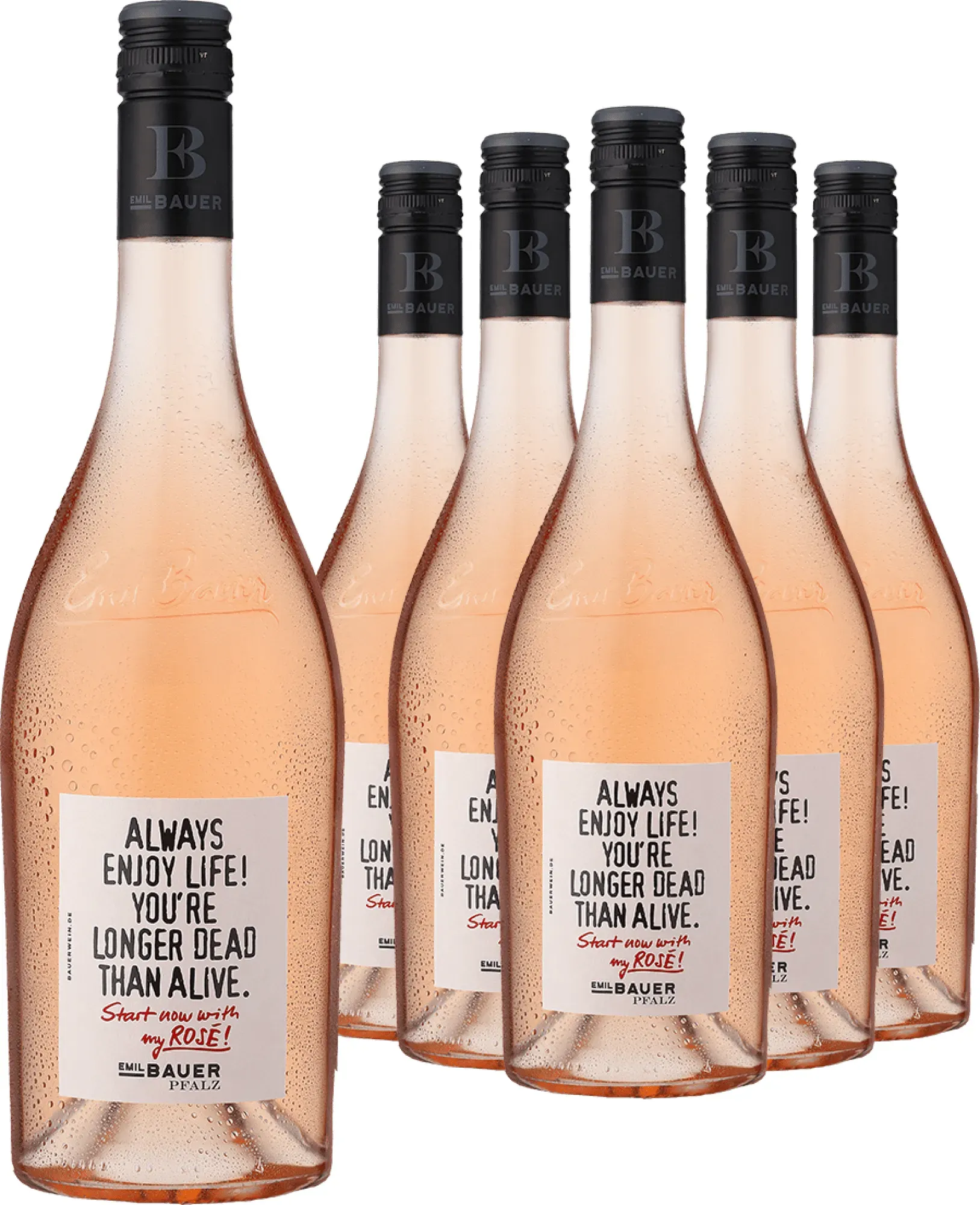 5+1-PAKET Emil Bauer »Always enjoy life...« Pinot Noir Rosé 2025
