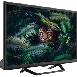 Strong SRT24HE4023C 24" LED HD TV