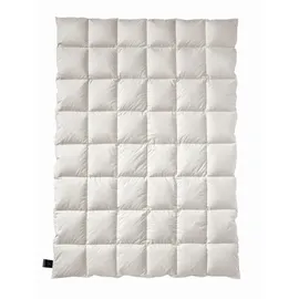 billerbeck Elegance Duo