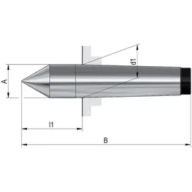 Röhm Zentrierspitze Typ 665 MK3 fest