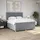 vidaXL Boxspringbett mit Matratze Hellgrau 180x200 cm Stoff