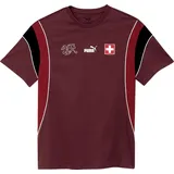 Puma Schweiz Ftbl Archive T-Shirt Rot,