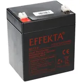 EFFEKTA BT 12-5