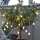 Best Season LED-Lichterkette Balls 2,7 m Weiß