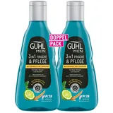 Guhl Men 3in1 Shampoo Doppelpack 2 x 250 ml