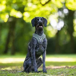 Wolters Active Pro Comfort Hundegeschirr Grün 40-47,5 cm