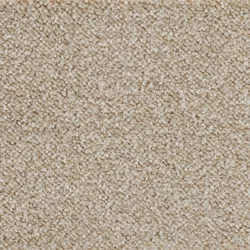 Teppichboden BODENMEISTER "Juno, Velours - meliert, Made in Belgium", beige, B:500cm H:8,5mm L:400cm, Polyamid, Teppiche, Wohnzimmer, Schlafzimmer, Kinderzimmer, Breite 400/500 cm