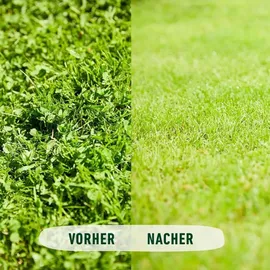 Compo Rasenunkraut-Vernichter Perfekt Konzentrat 200 ml