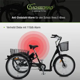Sachsenrad T3A Trio Edition 2025 26 Zoll RH 50 cm Damen schwarz