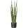 Creativ green Kunstpflanze Sanseveria, Creativ green, Höhe 100 cm grün 100 cm