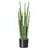Creativ green Kunstpflanze Sanseveria, Creativ green, Höhe 100 cm grün 100 cm