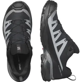Salomon X Ultra 360 GTX Herren Black / Magnet / Quiet Shade 44