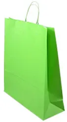 Elco Tragetasche 84202.45 Grün 45 x 15 x 49 cm 25 Stück