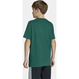 adidas Originals T-Shirt TEE für Kinder und Teens, mit gerippten Details, mit Rundhalsausschnitt grün 146 EU