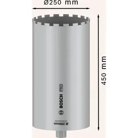 Bosch PRO Nassbohrkrone Diamantbohrer 250 mm 1 Stück
