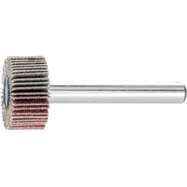 Pferd Fächerschleifer Ø20xH10mm K.120 10St.