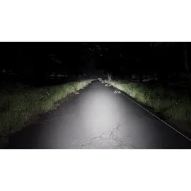 Osram LEDsBIKE Race 100 Rücklicht