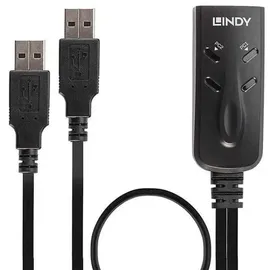 Lindy 2 Port USB KM Switch 2 Port Tastatur-/Maus-Umschalter