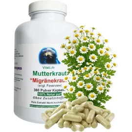VitalLife Mutterkraut Kapseln 360 St.
