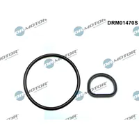 DR.MOTOR AUTOMOTIVE Dichtungssatz, Kurbelgehäuseentlüftung DRM01470S