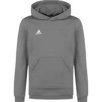 adidas Entrada 22 Grey 152