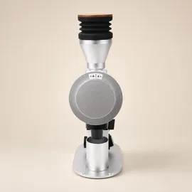 roastly DF83V Silber