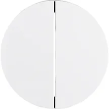 Berker Doppeltaster R.1/R.3 polarweiß, glänzend