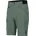Shorts Regular Grün S