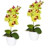 bei Günstig Künstliche Orchidee im Preisvergleich »