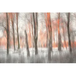 Fototapete PAPERMOON "Photo-Art GUSTAV DAVIDSSON, ABENDLICHT", bunt, B:3,50m L:2,60m, Vlies, Tapeten