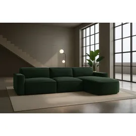kaiser möbel Eckcouch L-Form modern 1-Sitzer Grün