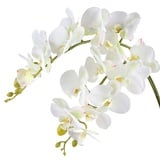 Famibay Kunstblume Orchideenzweig Phalenopsis Orchidee Künstlich Weiß Orchidee Blumen Real Touch