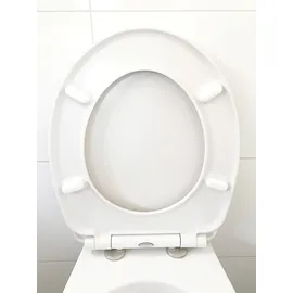 ADOB WC-Sitz Cat Absenkautomatik Bunt