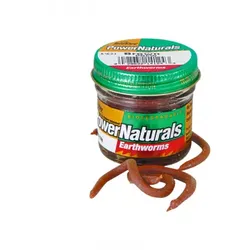 Berkley Soft Baits PowerNaturals Earthworms (Regenwurm), braun