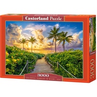 Castorland Puzzle 3000 pièces : Lever de Soleil coloré à Miami, USA