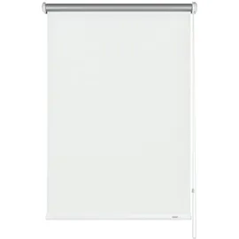 GARDINIA Seitenzug-Rollo 62 x 180 cm Weiß