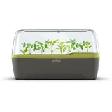 ROMBERG BoQube L Plus Gewächshaus & Pflanzkasten-system Anthrazit/sommergrün