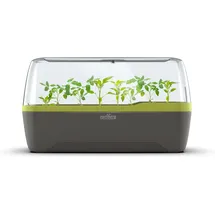 ROMBERG BoQube L Plus Gewächshaus & Pflanzkasten-system Anthrazit/sommergrün