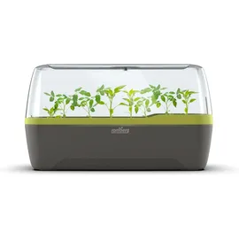 ROMBERG BoQube L Plus Gewächshaus & Pflanzkasten-system Anthrazit/sommergrün