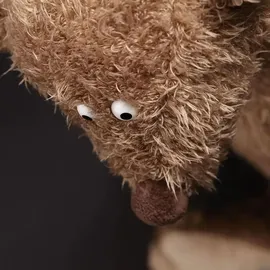 Sigikid Beasts Ach Goood! Bär  36 cm