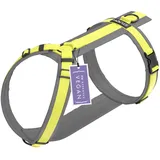STUCH Geschirr Hund Lime XS