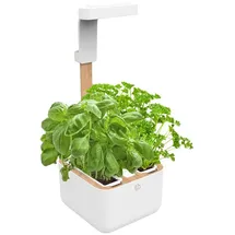 Veritable Botaneo Eylo Indoor weiß/braun (VBOT-EAWBA-B-66)