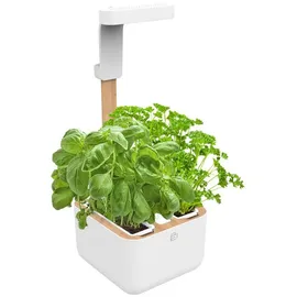 Veritable Botaneo Eylo Indoor weiß/braun (VBOT-EAWBA-B-66)