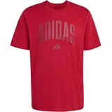 adidas Collegiate Lineage Graphic T-Shirt rot XXL