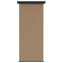 vidaXL Seitenmarkise 100 x 300 cm Beige Eisen 1 St.