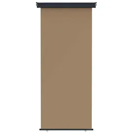 vidaXL Seitenmarkise 100 x 300 cm Beige Eisen 1 St.