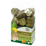 JR Farm Grainless One Zwergkaninchen 950g Kleintierfutter