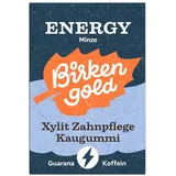Birkengold Xylit Zahnpflege Kaugummi 28 g